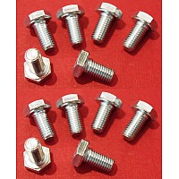 1/4" UNF X 1/2" long. Zinc plated Set Screw  ( Set of 12)    SH604041-SetA