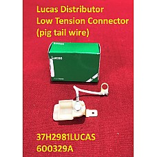 Lucas Distributor Low Tension Connector (pig tail wire)   37H2981LUCAS