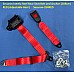 Securon Inertia Reel Rear Seat Belt and Anchor (208cm)  RED (Adjustable Reel )     Securon-254RED