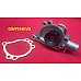 A Series Engine Water Pump - Large Impeller  GWP134EVO